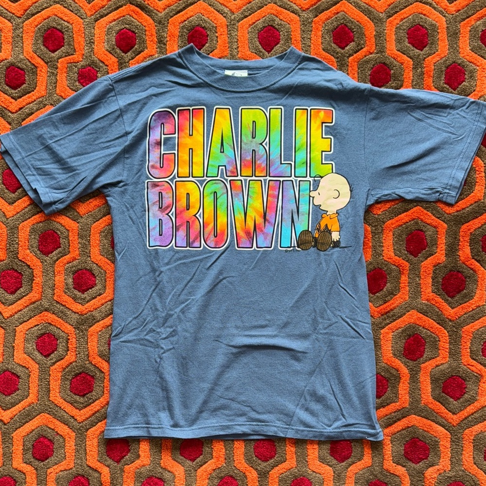 MAKRE OFFER! Men's Peanuts Charlie Brown Graphic Tee t-shirt blue Cedar Point Sm